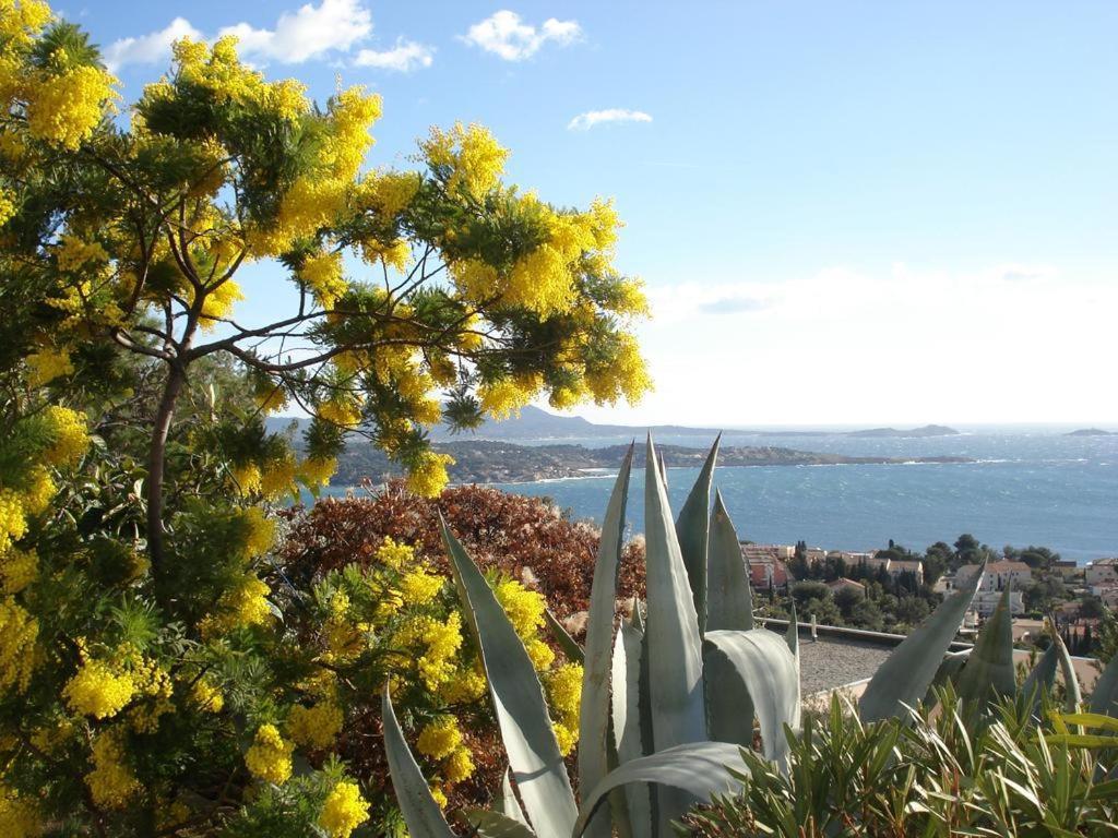 T2 Bandol Ideal Vacances 2 Etoiles Екстер'єр фото