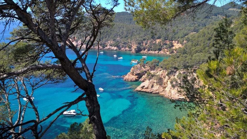 T2 Bandol Ideal Vacances 2 Etoiles Екстер'єр фото